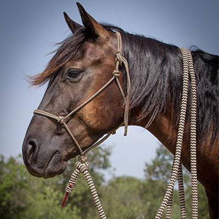 Black Navajo Halter and Lead Rope