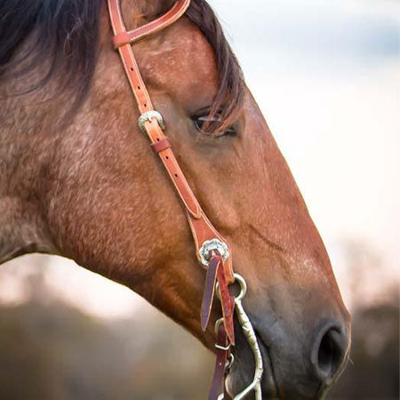 Harness Leather Shanked Bridle Set