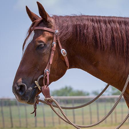 Harness Leather Bridle Set with Brown Navajo Mecate Reins