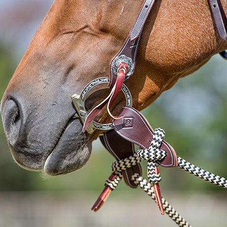 Havana Bridle Set with Black Navajo Sport Reins