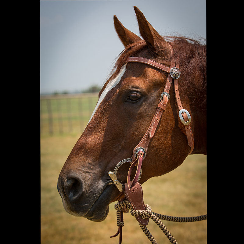 Harness Leather Bridle Sets with Black Navajo Mecate Reins
