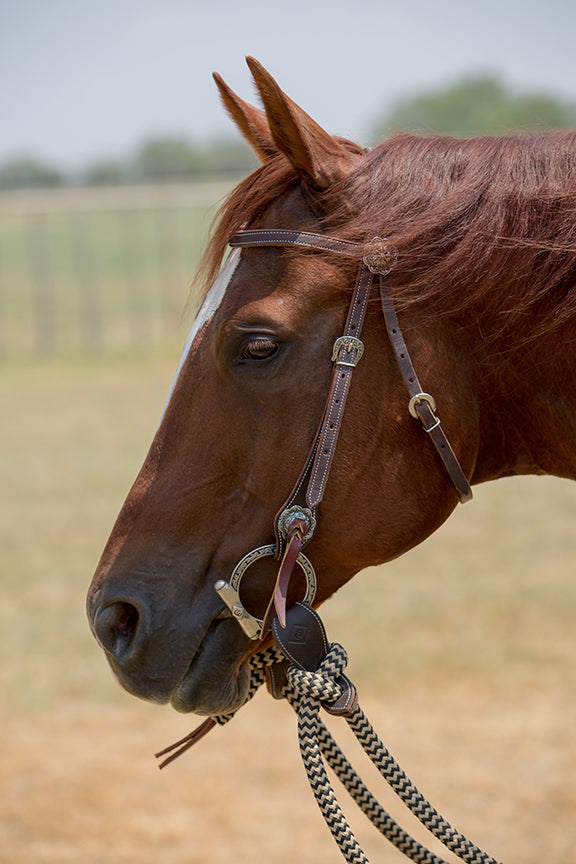 Havana Bridle Set with Black Navajo Mecate Reins