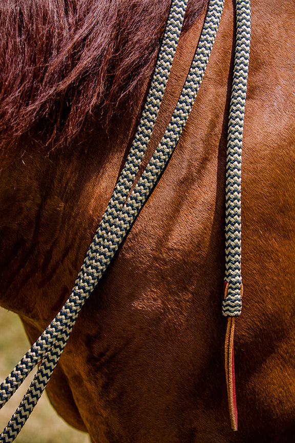 Havana Bridle Set with Black Navajo Mecate Reins