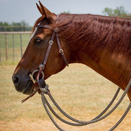 Havana Bridle Set with Black Navajo Mecate Reins