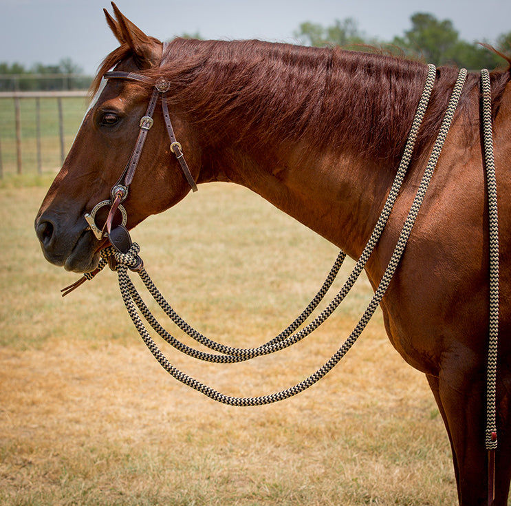Havana Bridle Set with Black Navajo Mecate Reins