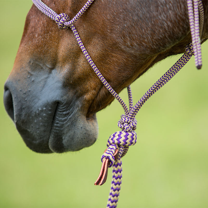 Purple Navajo Halter & Lead