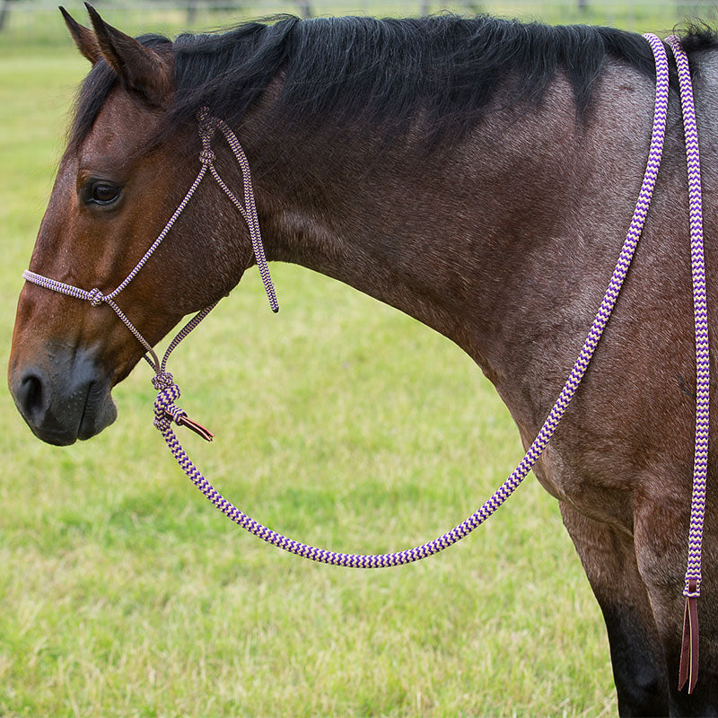 Purple Navajo Halter & Lead