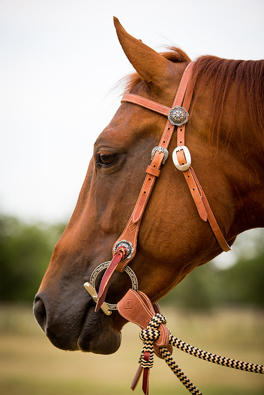 Harness Leather Bridle Set with Black Navajo Sport Reins