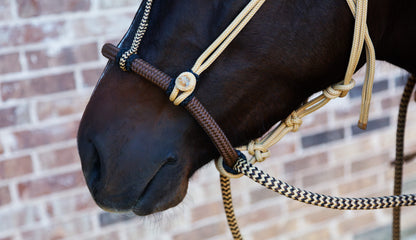 Signature Hackamore