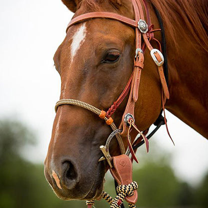 Get Down Rope – Chris Cox Horsemanship