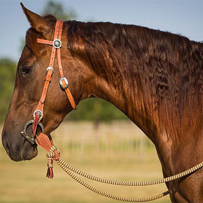 Harness Leather Bridle Set with Brown Navajo Sport Reins