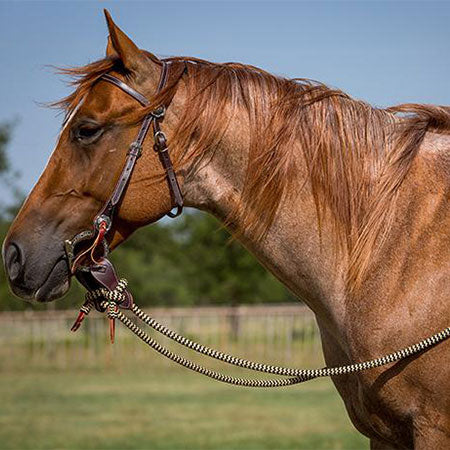 Havana Bridle Set with Black Navajo Sport Reins – Chris Cox Horsemanship