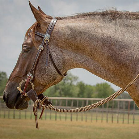 Havana Bridle Set with Brown Navajo Sport Reins