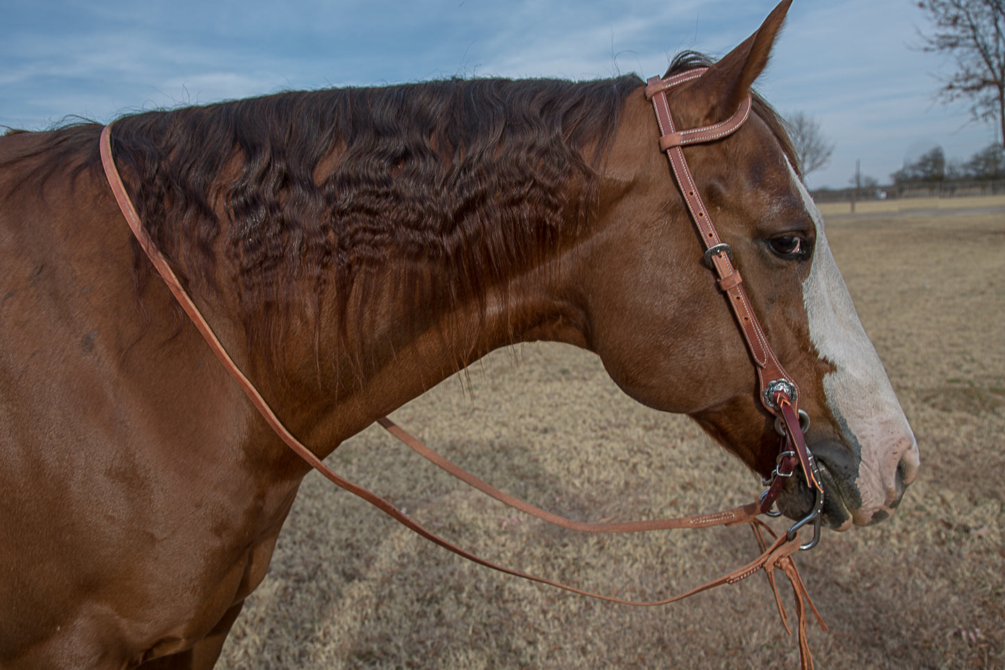 Harness Leather Sport Reins