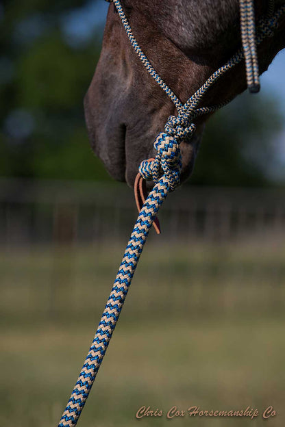 Turquoise Navajo Halter & Lead