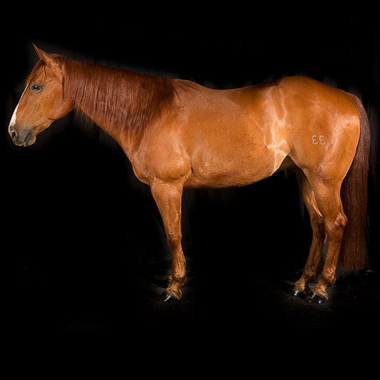 COMANCHE - SOLD